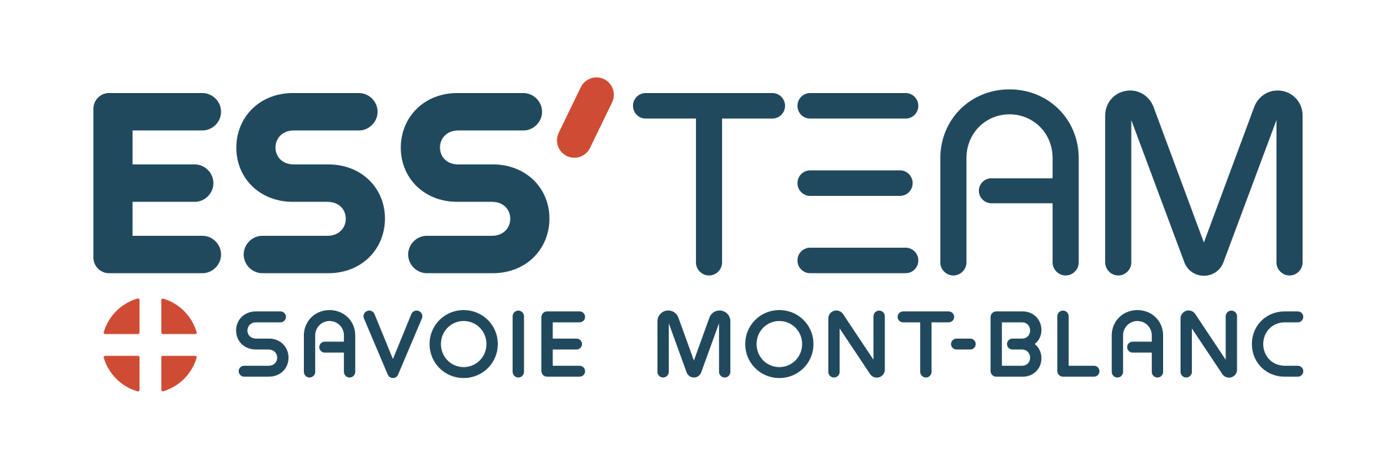 image LOGO_ESSTEAM_2022_long_CMJN.png (73.9kB)